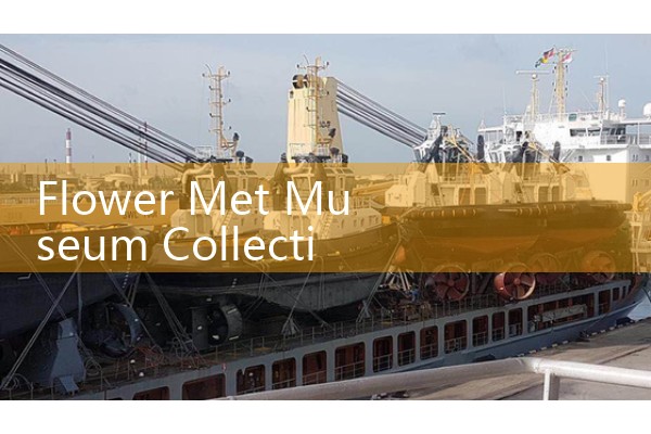 Flower Met Museum Collection: Exploring Historical Floral Prints and Textile Artifacts in Art History